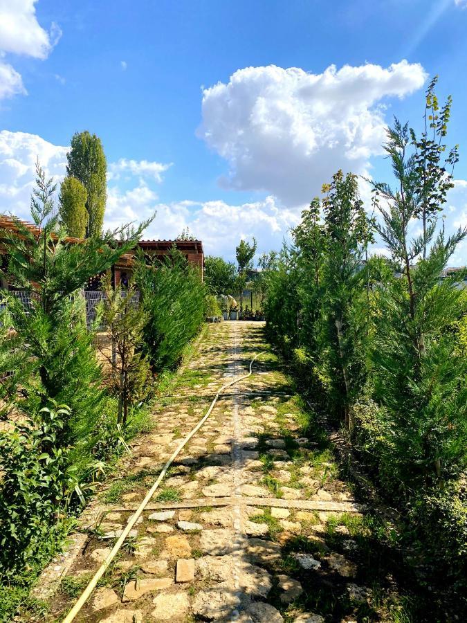 Blerina Country house Laknas