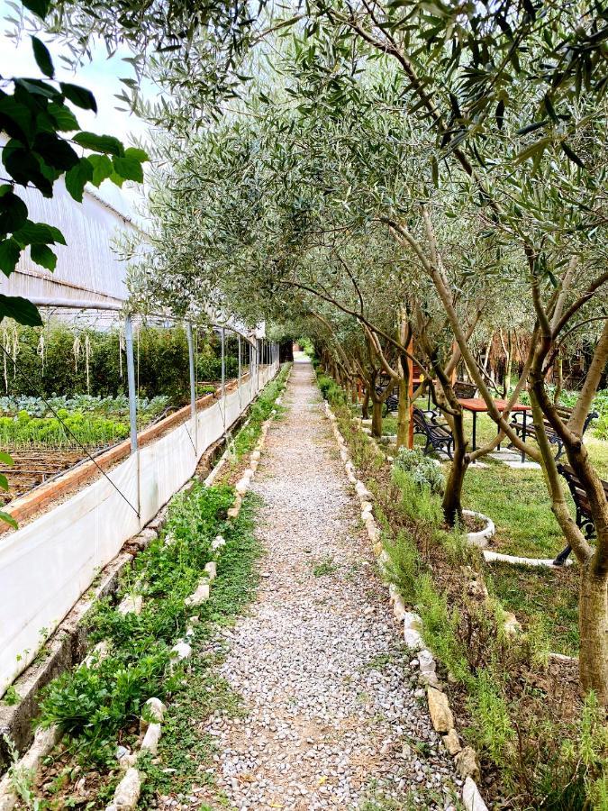 Blerina Country house