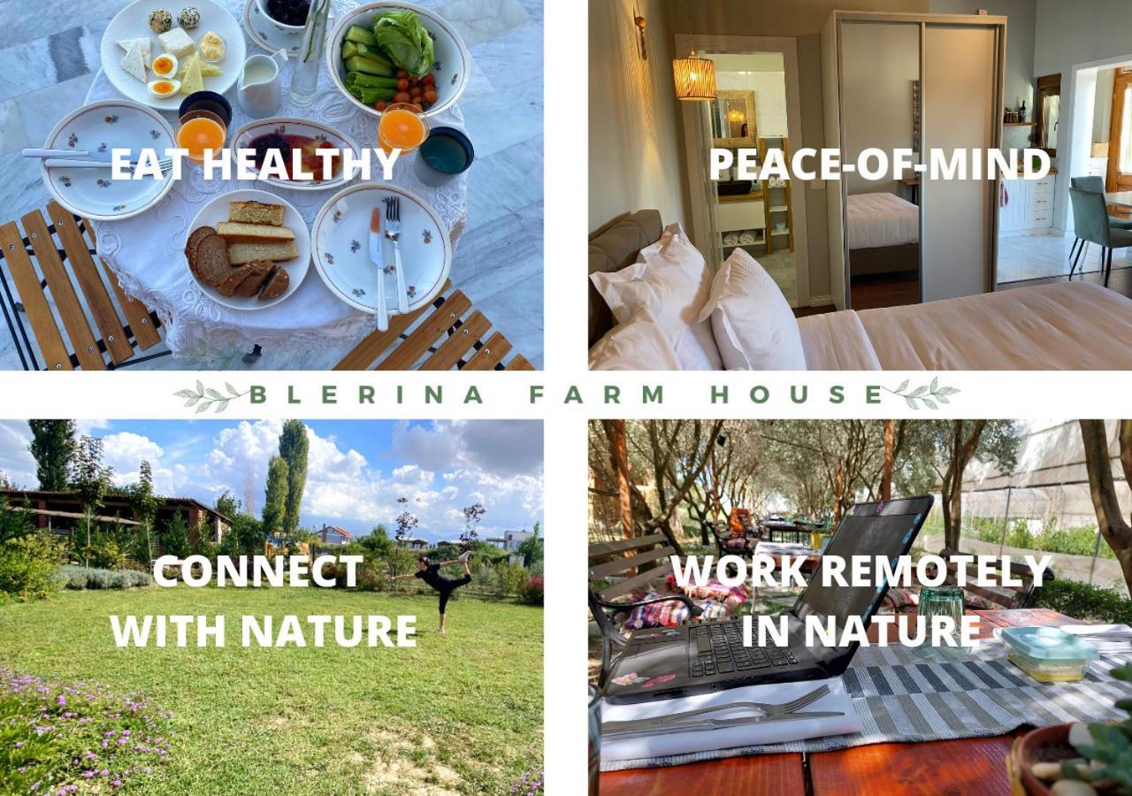 Country house Blerina